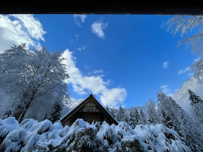 Pogled na streho Koče pri Rdeči Bukvi in gore izpod nadstreška
